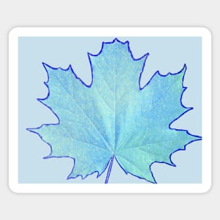 Frozen Leaf Sticker